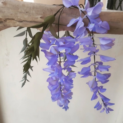 Un fiore al mese - Glicine