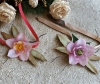 Un fiore al mese - Elleboro
